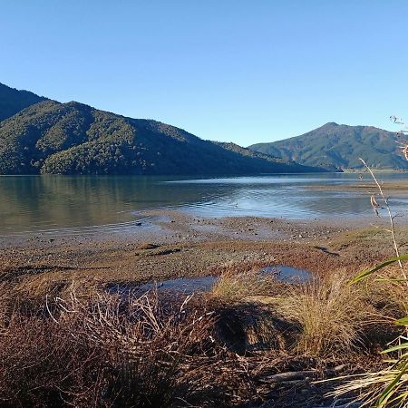 Marlborough Sounds Accommodation 792 Havelock Ngoại thất bức ảnh